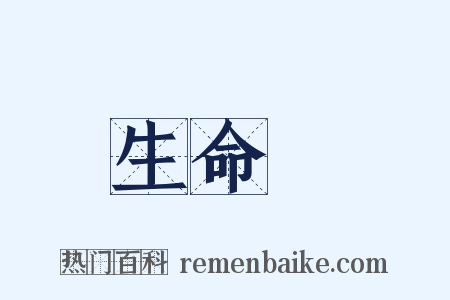 生命觀是什么意思的图片